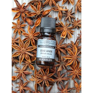 Plantlife Star Anise Essential Oil - Aromatherapy