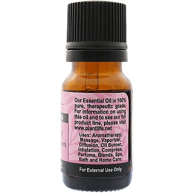 Plantlife Cardamom Essential Oil - Aromatherapy