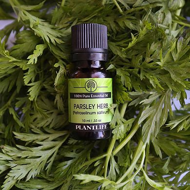 Plantlife Parsley Herb Essential Oil - Aromatherapy