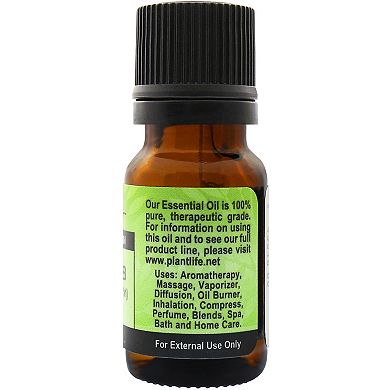 Plantlife Parsley Herb Essential Oil - Aromatherapy