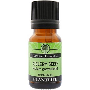 Plantlife Celery Seed Essential Oil - Aromatherapy