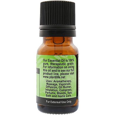 Plantlife Celery Seed Essential Oil - Aromatherapy