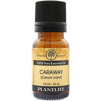 Plantlife Caraway Essential Oil - Aromatherapy