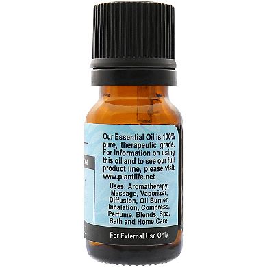 Plantlife Spearmint Essential Oil - Aromatherapy