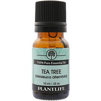 Plantlife Tea Tree Essential Oil - Aromatherapy