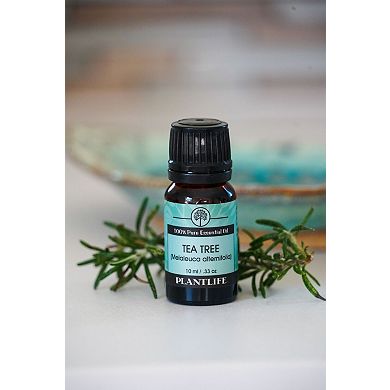 Plantlife Tea Tree Essential Oil - Aromatherapy