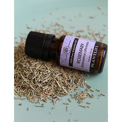 Plantlife Rosemary Essential Oil - Aromatherapy