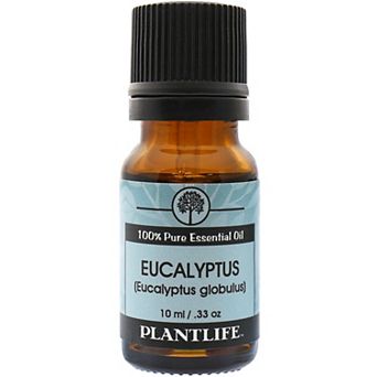 Plantlife Eucalyptus Essential Oil - Aromatherapy