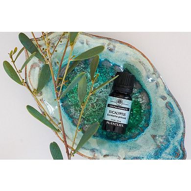 Plantlife Eucalyptus Essential Oil - Aromatherapy