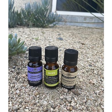 Plantlife Lavandin Essential Oil - Aromatherapy