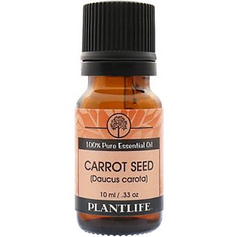 Plantlife Carrot Seed Essential Oil - Aromatherapy