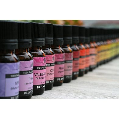 Plantlife Sandalwood Essential Oil - Aromatherapy