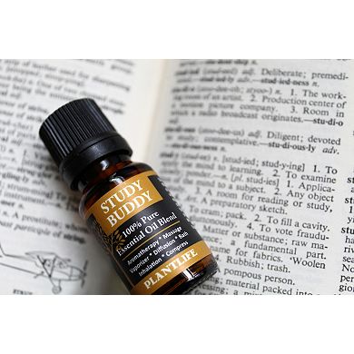 Plantlife Study Buddy Essential Oil Blend - Aromatherapy