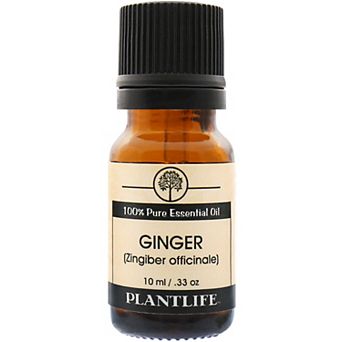 Plantlife Ginger Essential Oil - Aromatherapy