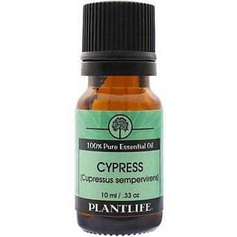 Plantlife Cypress Essential Oil - Aromatherapy