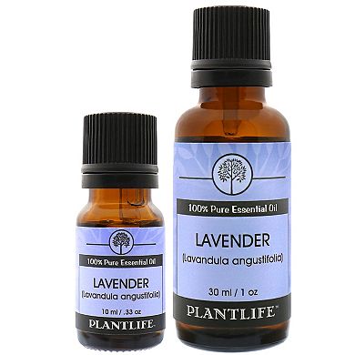 Plantlife Lavender Essential Oil 30ml - Aromatherapy
