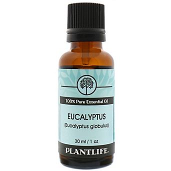 Plantlife Eucalyptus Essential Oil 30ml - Aromatherapy