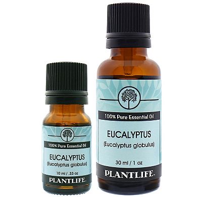 Plantlife Eucalyptus Essential Oil 30ml - Aromatherapy