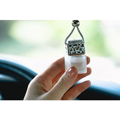 Passive Diffuser - Silver (comes with cord to hang)