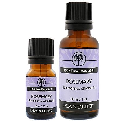 Plantlife Rosemary Essential Oil 30ml - Aromatherapy