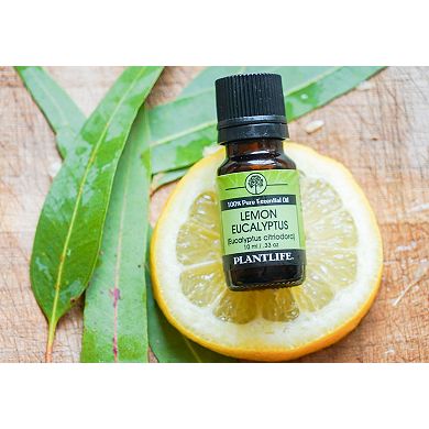 Plantlife Lemon Eucalyptus Essential Oil - Aromatherapy