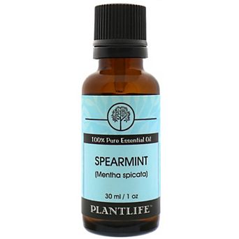 Plantlife Spearmint Essential Oil 30ml - Aromatherapy