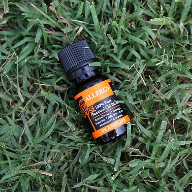 Plantlife Allergy Essential Oil Blend - Aromatherapy