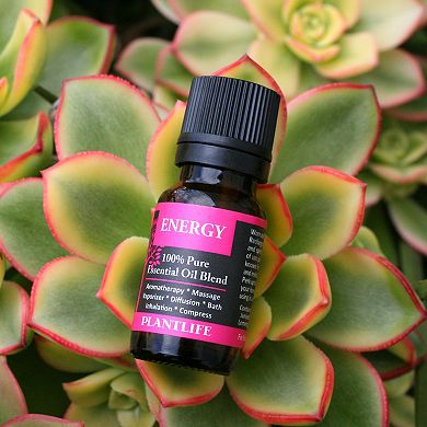 Plantlife Energy Essential Oil Blend - Aromatherapy