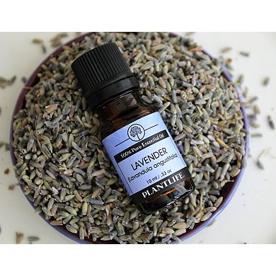 Plantlife Lavender Essential Oil - Aromatherapy