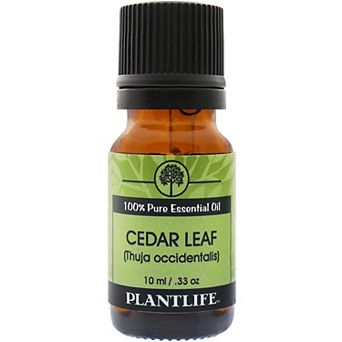 Plantlife Cedar Leaf Essential Oil - Aromatherapy