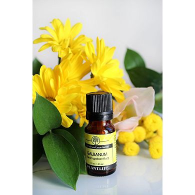 Plantlife Galbanum Essential Oil - Aromatherapy