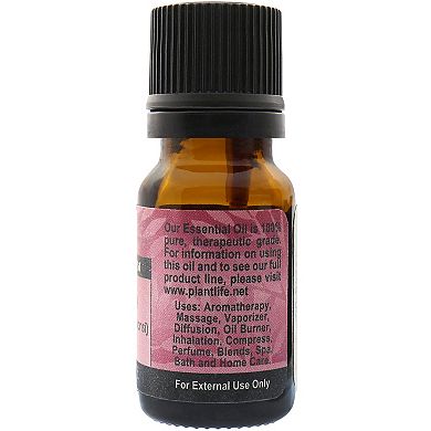 Plantlife Spikenard Essential Oil - Aromatherapy
