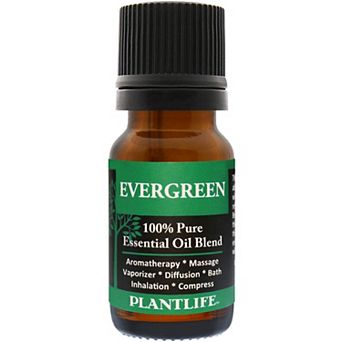 Plantlife Evergreen Essential Oil Blend - Aromatherapy