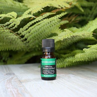 Plantlife Evergreen Essential Oil Blend - Aromatherapy