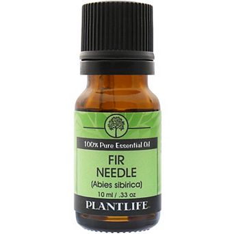 Plantlife Fir Needle Essential Oil - Aromatherapy
