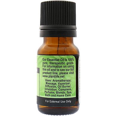 Plantlife Fir Needle Essential Oil - Aromatherapy