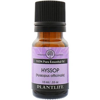 Plantlife Hyssop Essential Oil - Aromatherapy