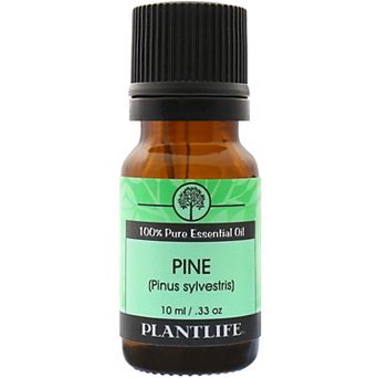 Plantlife Pine Essential Oil - Aromatherapy
