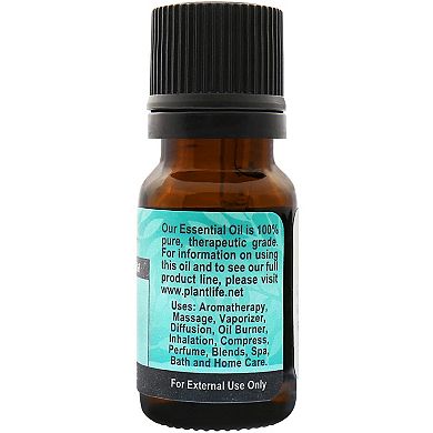 Plantlife Spruce Essential Oil - Aromatherapy