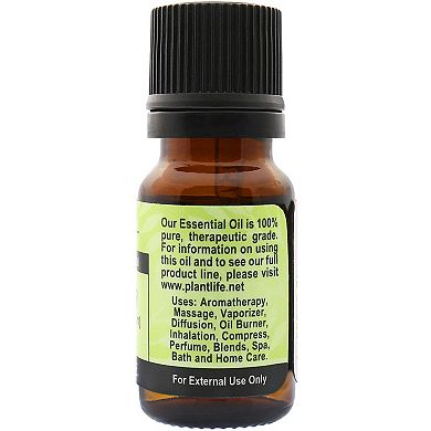 Plantlife Coriander Essential Oil - Aromatherapy