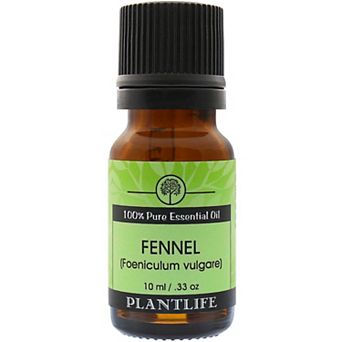 Plantlife Fennel Essential Oil - Aromatherapy