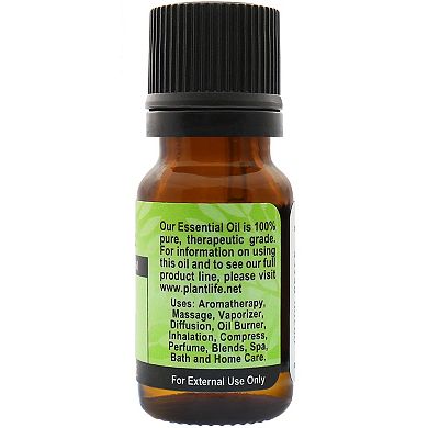 Plantlife Fennel Essential Oil - Aromatherapy