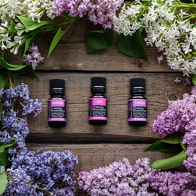 Plantlife Joy Essential Oil Blend - Aromatherapy