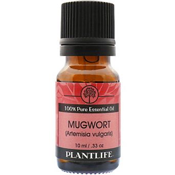 Plantlife Mugwort Essential Oil - Aromatherapy