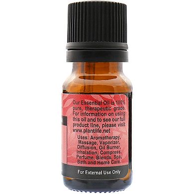 Plantlife Mugwort Essential Oil - Aromatherapy