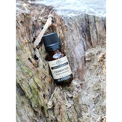 Plantlife Cedarwood Essential Oil - Aromatherapy