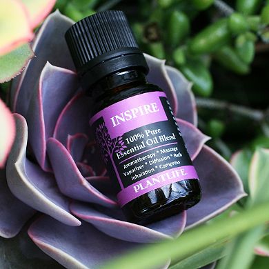 Plantlife Inspire Essential Oil Blend - Aromatherapy