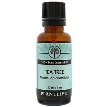 Plantlife Tea Tree Essential Oil 30ml - Aromatherapy