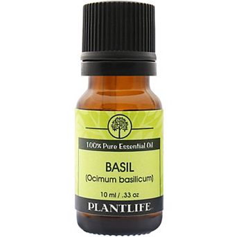 Plantlife Basil Essential Oil - Aromatherapy