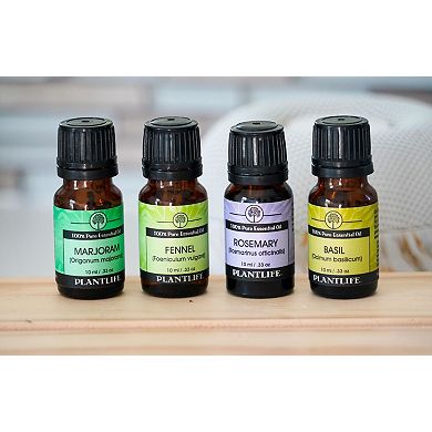 Plantlife Basil Essential Oil - Aromatherapy